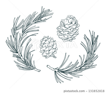 A minimal clipart set featuring two pine branches and two cones. This handy monochrome collection is perfect for scrapbooking and adding a winter touch to designs. 131652818