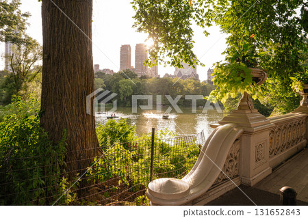 The lake in Central Park glows under the golden sunset as boats gently float on the water. A large tree, decorative railing, and flower planter frame the peaceful urban landscape of New York City. The lake in Central Park glows under the golden sunset as boats gently float on the water. A large tree, decorative railing, and flower planter frame the peaceful urban landscape of New York City. 131652843