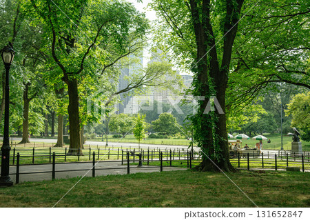 Lush trees and pathways fill Central Park while green-striped food carts serve visitors in the background. Skyscrapers peek through the branches, blending city and nature on a warm day. 131652847