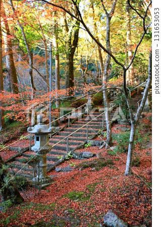 光藏寺紅葉 131653053