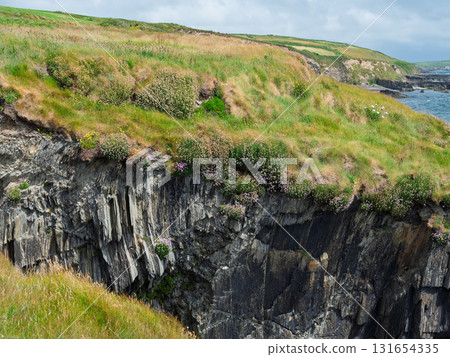 A stunning coastal view in West Cork shows a steep, rocky cliff covered in green grass and small flowers, meeting the Atlantic ocean. The textures of the rock formations are visible. A stunning coastal view in West Cork shows a steep, rocky cliff covered in green grass and small flowers, meeting the Atlantic ocean. The textures of the rock formations are visible. 131654335