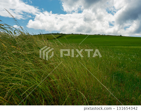 Scenic farmland meets a dynamic sky above. Scenic farmland meets a dynamic sky above. 131654342