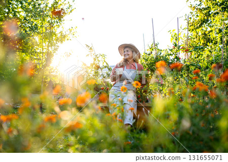 Older female farmer resting among flowers in garden, having cup of herbal tea. Older female farmer resting among flowers in garden, having cup of herbal tea. 131655071