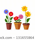 flowerpot with blooming flowers 131655864