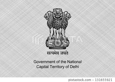 The official flag of New Delhi, the capital of India, on fabric texture. Conceptual collage. Illustration 131655921