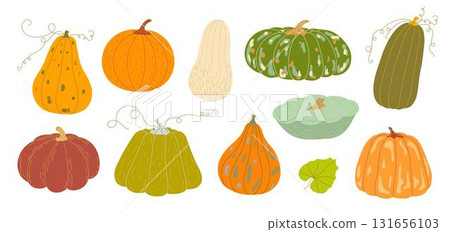 Pumpkins set hand drawn vector illustration in warm orange colors, vegetable for seasonal autumn, fall holidays celebration design, healthy vegetarian diet ingredient, Thanksgiving, Halloween clipart Pumpkins set hand drawn vector illustration in warm orange colors, vegetable for seasonal autumn, fall holidays celebration design, healthy vegetarian diet ingredient, Thanksgiving, Halloween clipart 131656103
