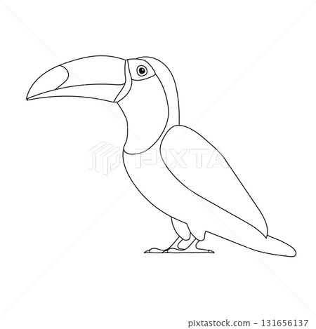Vector flat outline toucan Vector flat outline toucan 131656137
