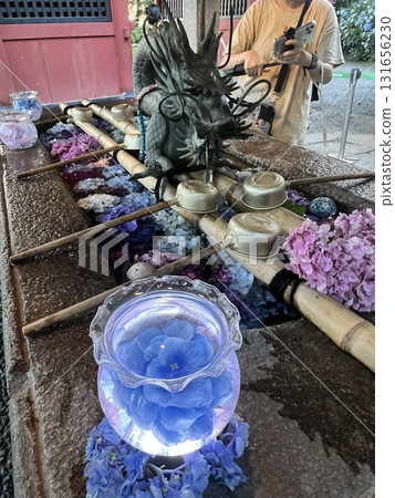 限時繡球花節 限時繡球花節 131656230