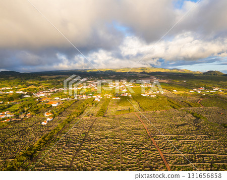 Basalt Stone Walls and Vineyards on Pico Island. Azores. Portugal. Aerial View 131656858