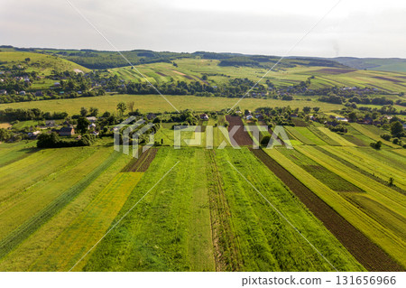 Aerial view of a small village win many houses and green agricultural fields in spring with fresh vegetation after seeding season on a warm sunny day. 131656966