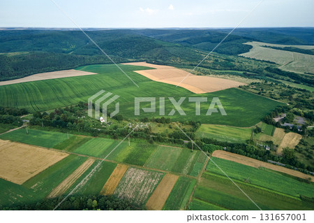 Aerial landscape view of green and yellow cultivated agricultural fields with growing crops on bright summer day 131657001
