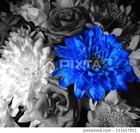 One Bright Blue Flower Between Grayscale Flowers In Bouquet Top View Stock Photo One Bright Blue Flower Between Grayscale Flowers In Bouquet Top View Stock Photo 131657951