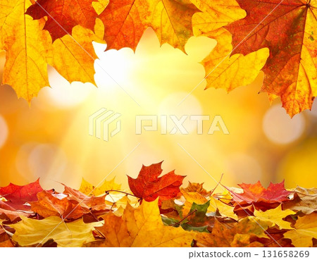 Bright autumn leaves 131658269