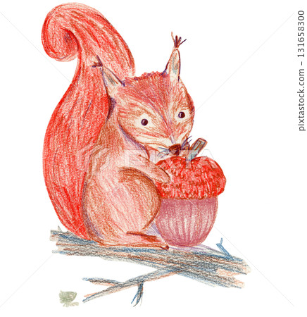 Cute crayon pencils textured hand drawing orange red squirrel illustration. Lovely wood forest animal with acorn nut on branch for kids print design, textile decor, greeting cards, stickers 131658300