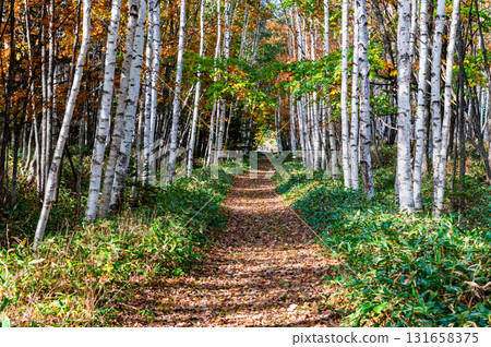 Former Shihoro Line Remains, Hokkaido Former Shihoro Line Remains, Hokkaido 131658375