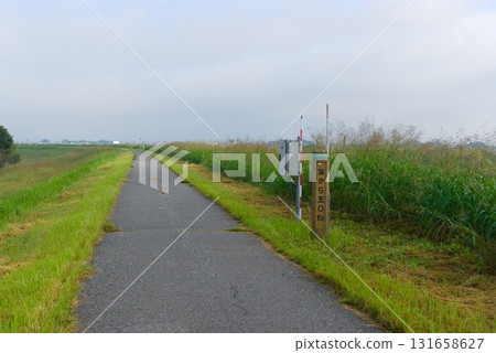 Edogawa Cycling Road Right Bank October 2025 131658627