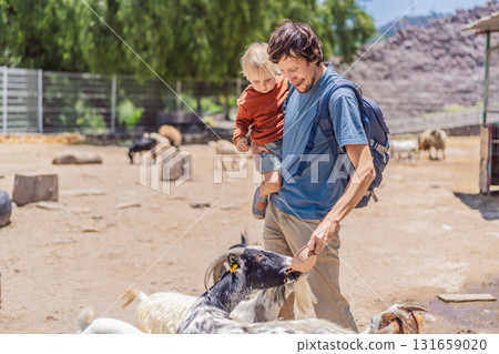 Father and his young son feeding goats on a farm, enjoying family bonding, animal interaction, and outdoor activity. Wholesome childhood and learning concept 131659020