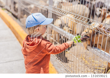 Little boy feeding goats on a farm, enjoying animal interaction, nature, and learning responsibility. Wholesome childhood and outdoor activity concept Little boy feeding goats on a farm, enjoying animal interaction, nature, and learning responsibility. Wholesome childhood and outdoor activity concept 131659021