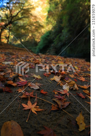 在Yoro谷的風景在秋天 131659079