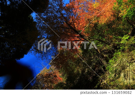 Landscape in the Yoro valley in autumn 131659082