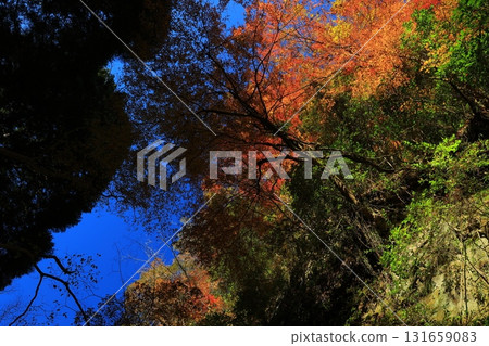 Landscape in the Yoro valley in autumn 131659083