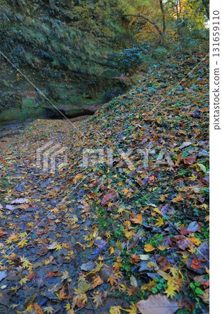 Landscape in the Yoro valley in autumn 131659110