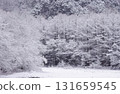霧冰的亮度 131659545