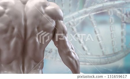 The Human Body for Science or medical concept 3d Rendering. 131659617