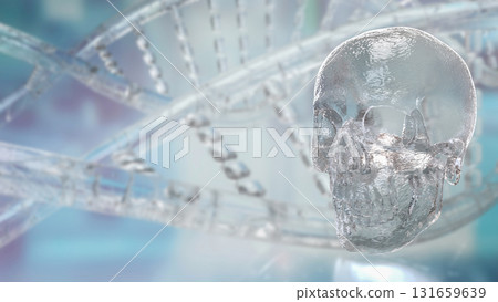 The Skull for Education or Sci concept 3d Rendering. The Skull for Education or Sci concept 3d Rendering. 131659639