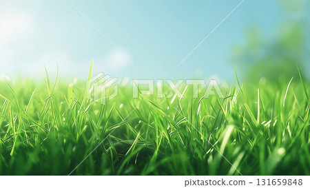 A land of lush green grass 131659848