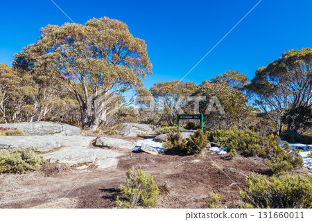 Mt St Gwinear in Baw Baw Shire Australia Mt St Gwinear in Baw Baw Shire Australia 131660011