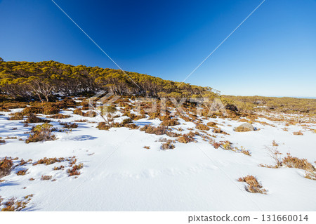 Phillack Saddle in Baw Baw Australia Phillack Saddle in Baw Baw Australia 131660014
