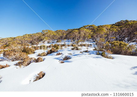 Phillack Saddle in Baw Baw Australia 131660015