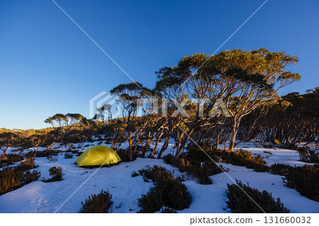 Mt St Gwinear Snow Camping in Australia Mt St Gwinear Snow Camping in Australia 131660032