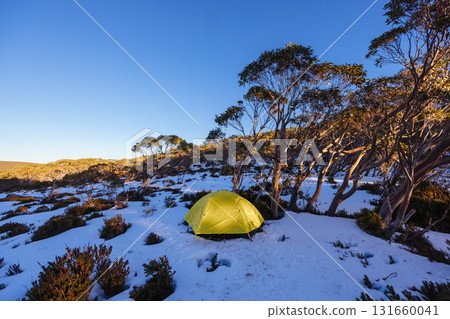Mt St Gwinear Snow Camping in Australia 131660041