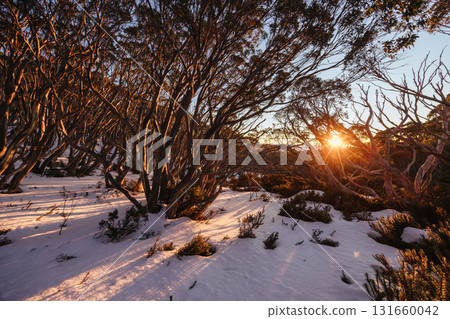 Mt St Gwinear Sunrise in Australia Mt St Gwinear Sunrise in Australia 131660042