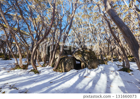 Rock Shelter in Baw Baw Shire Australia 131660073