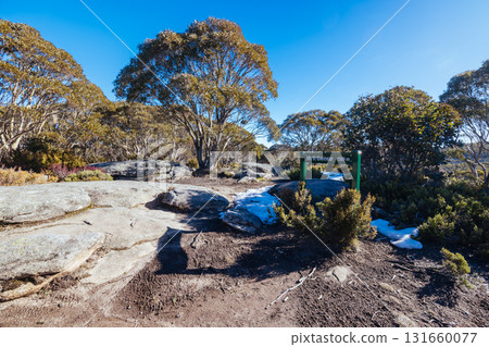 Mt St Gwinear in Baw Baw Shire Australia Mt St Gwinear in Baw Baw Shire Australia 131660077