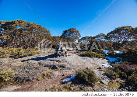 Mt St Gwinear in Baw Baw Shire Australia Mt St Gwinear in Baw Baw Shire Australia 131660079