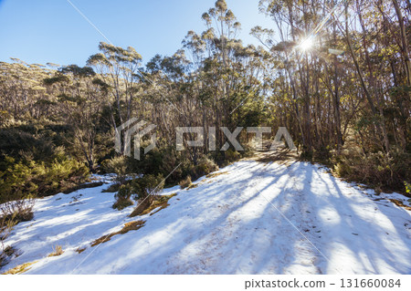 Mt St Gwinear in Baw Baw Shire Australia Mt St Gwinear in Baw Baw Shire Australia 131660084