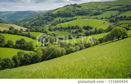 Spreading prairie Spreading prairie 131660484