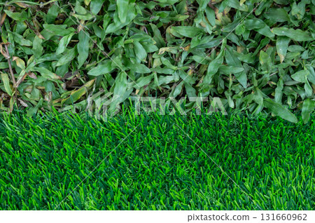 Different between real grass and  artificial turf in the garden. Artificial grass are made by polyethylene or nylon, convenient and it does not require much maintenance. 131660962