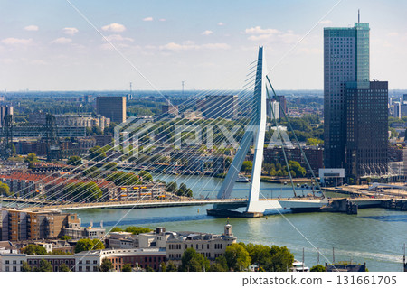 Erasmus cable-stayed Bridge crossing Nieuwe Maas in center of Rotterdam Erasmus cable-stayed Bridge crossing Nieuwe Maas in center of Rotterdam 131661705