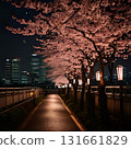 櫻花與路燈映照下的浪漫夜晚散步道 131661829
