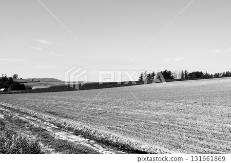 Clear skies and the hills of Biei in October "Black and White" Clear skies and the hills of Biei in October "Black and White" 131661869