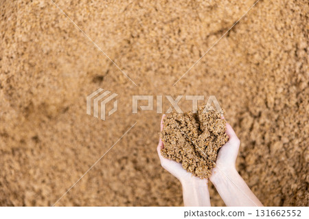Handful of beer bagasse in hands of female farmer Handful of beer bagasse in hands of female farmer 131662552