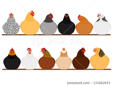 Set of chickens resting on a perch 131662655