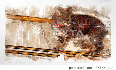 素描 風格 貓 貓 貓 kijitora 灰色 女 女 母貓 母貓 健康 漂亮 癒合 131662998