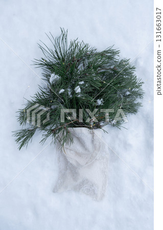 Reusable shopping bag with fir spruce green branches in snowy outdoor winter forest background. Merry Christmas and new year concept. Natural bouquet greeting card copy space Reusable shopping bag with fir spruce green branches in snowy outdoor winter forest background. Merry Christmas and new year concept. Natural bouquet greeting card copy space 131663017