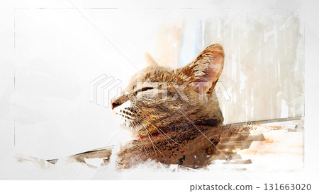 sketch style cat cat cat kijitora gray female female female cat female cat healthy pretty healing sketch style cat cat cat kijitora gray female female female cat female cat healthy pretty healing 131663020